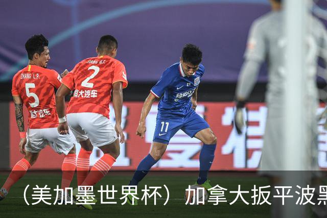 （美加墨世界杯）加拿大扳平波黑 获队史世界杯首分